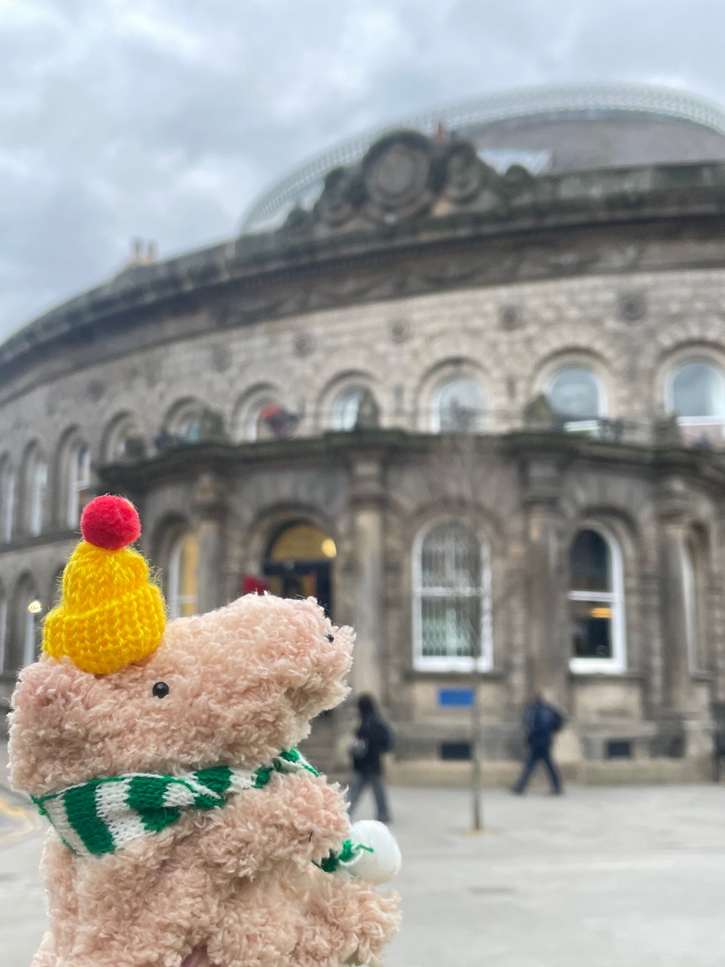 Capybara Moru Doll Workshop (M Size)