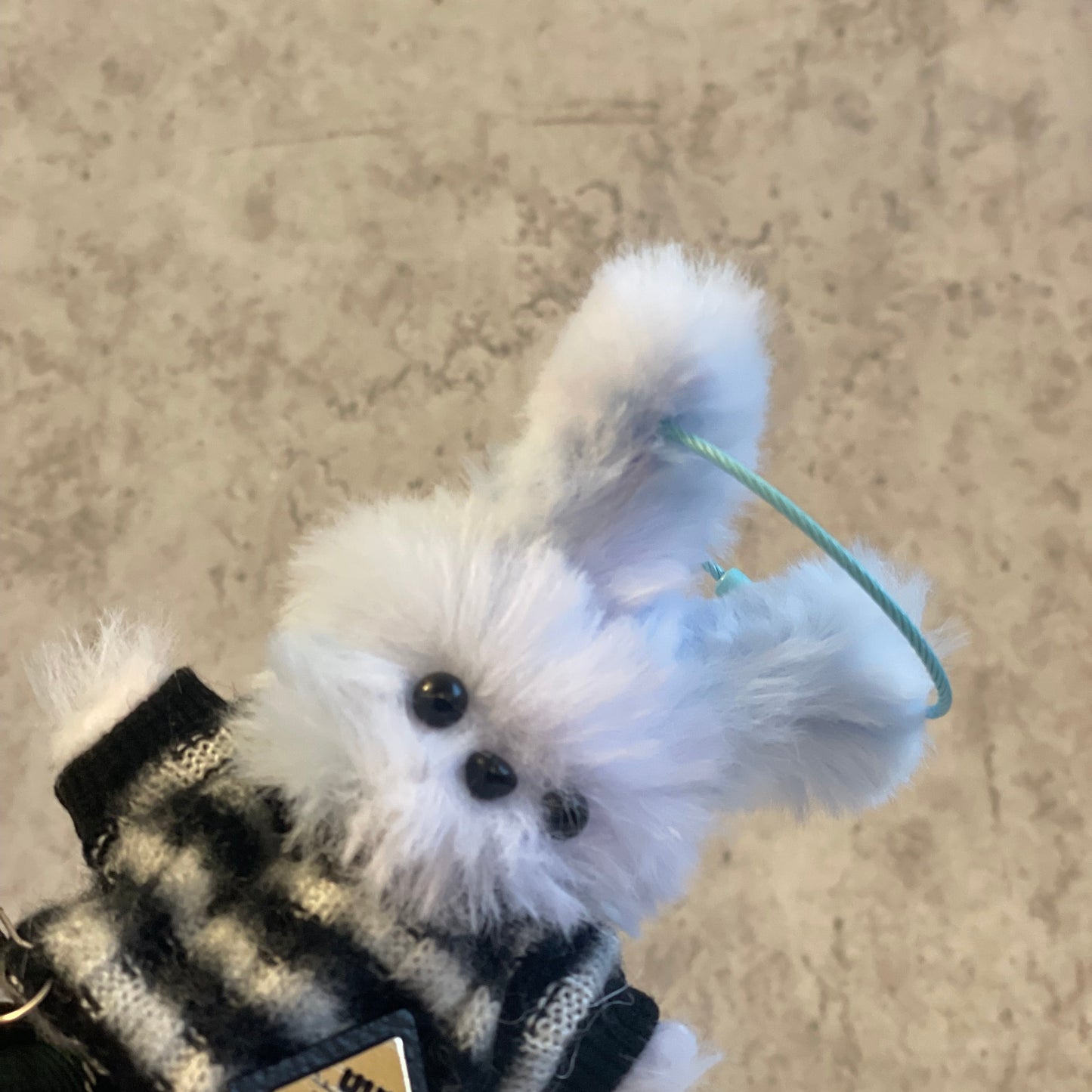 S Size Moru Doll Decoration Experience