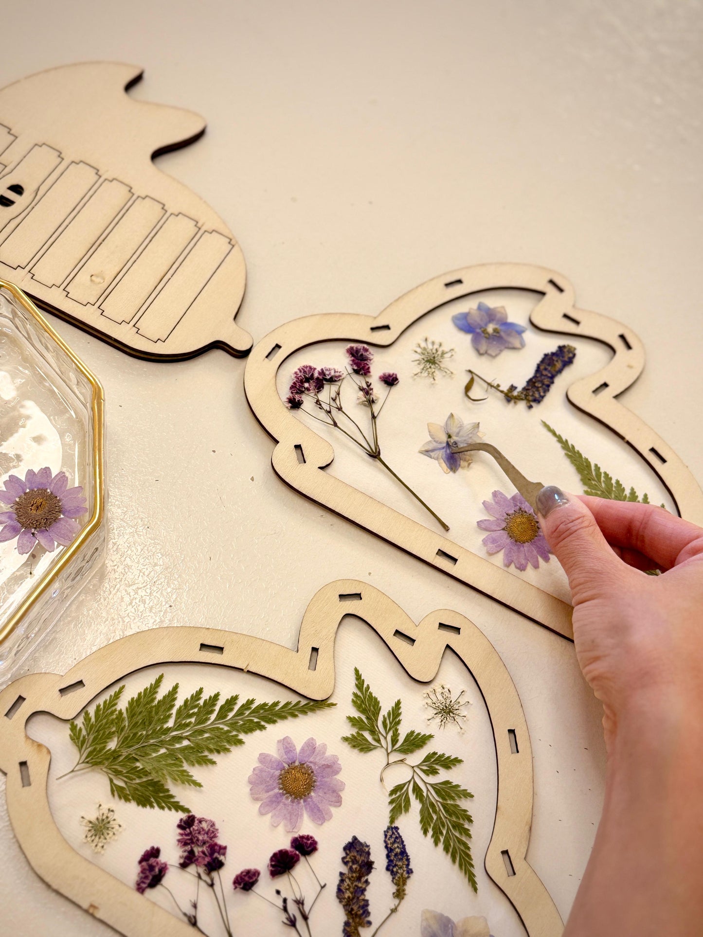 🏮Dried Flower Lantern Workshop