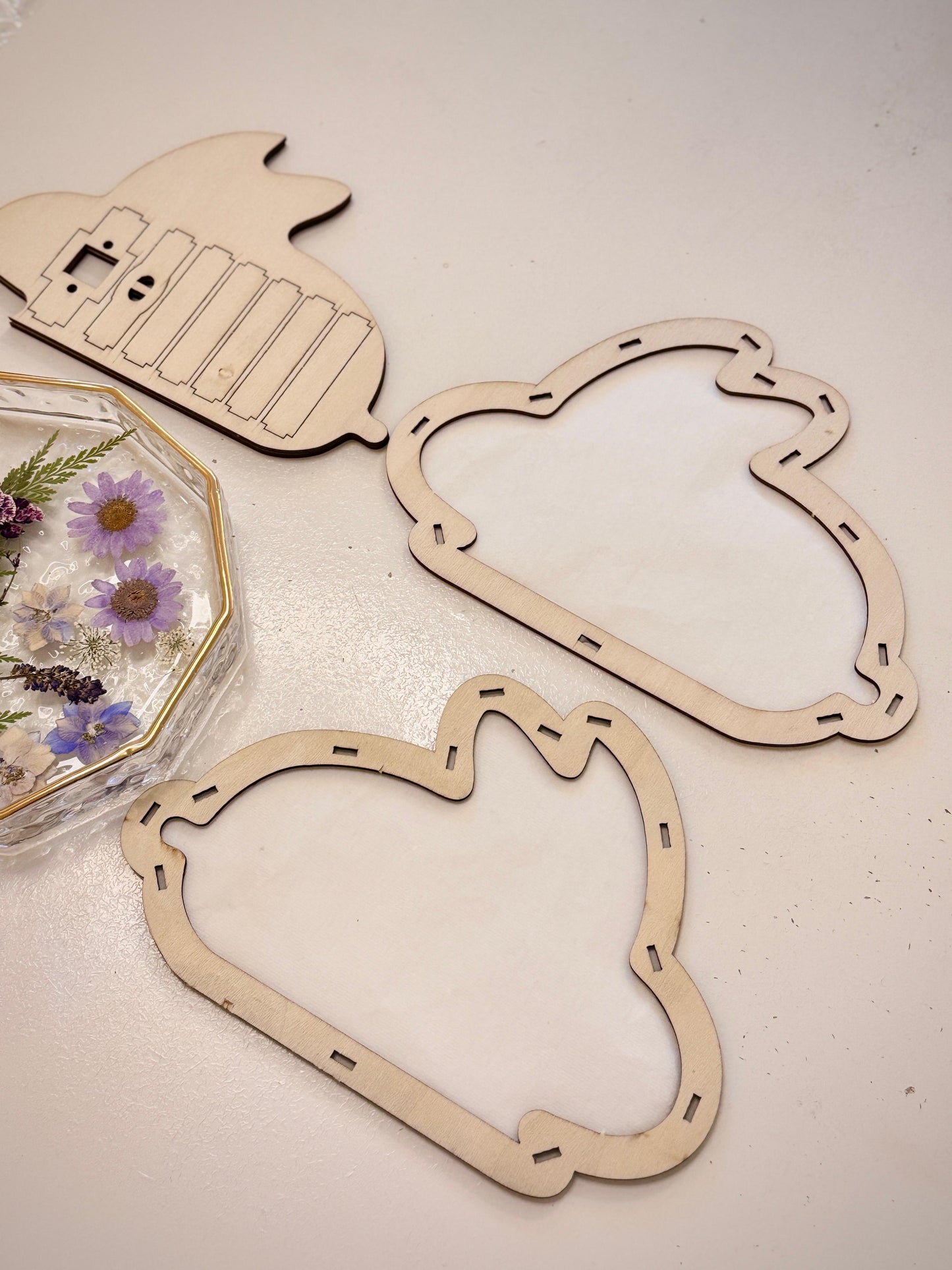 🏮Dried Flower Lantern Workshop