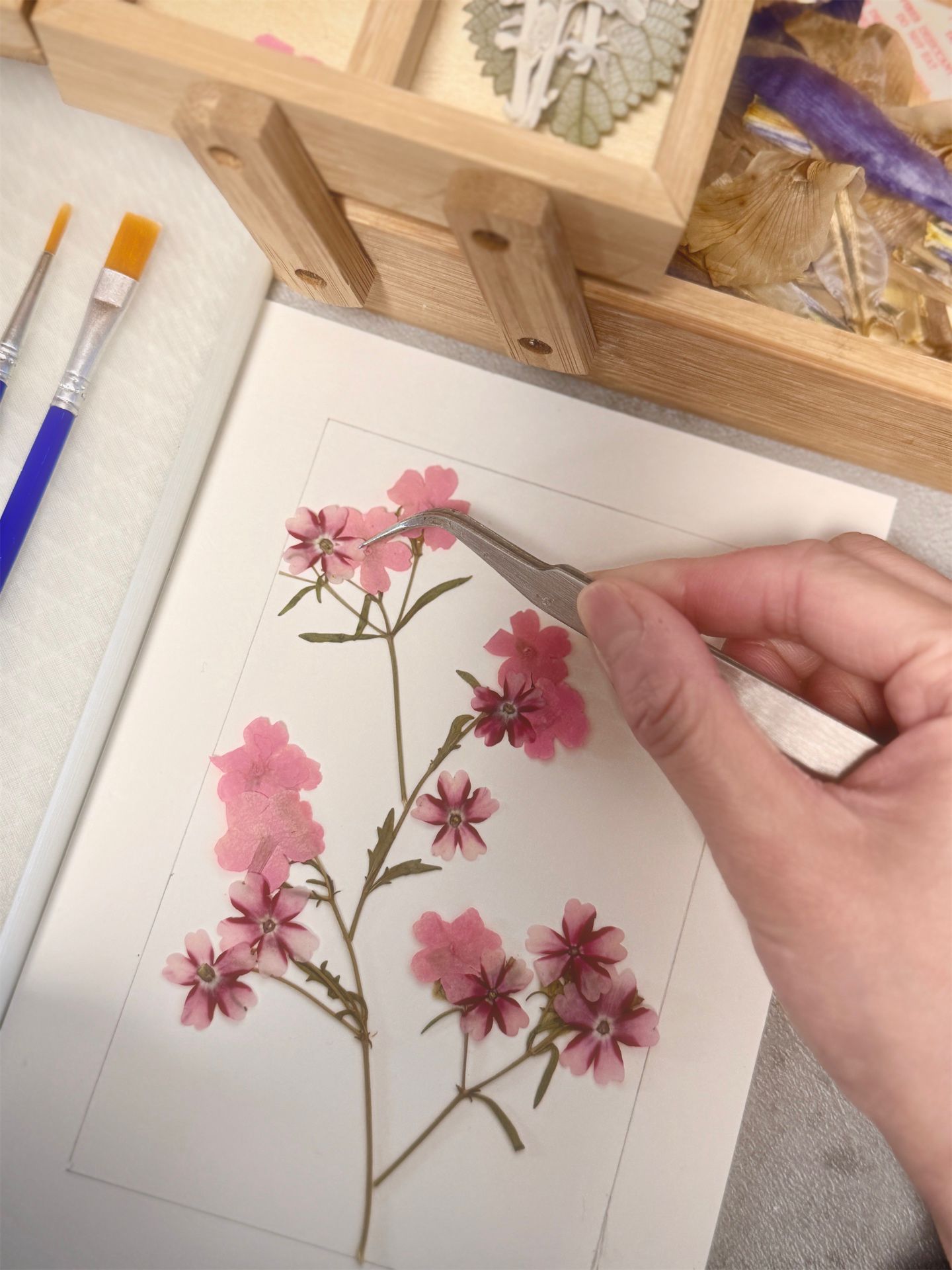 Pressed Sakura Frame Making Workshop by Little M Secret Garden